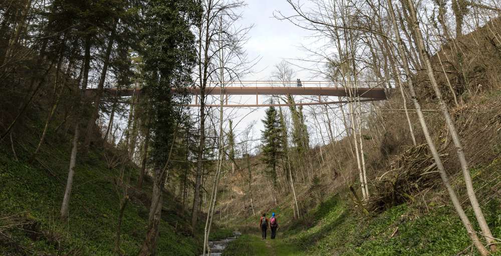 Pasarela de Bruggbach