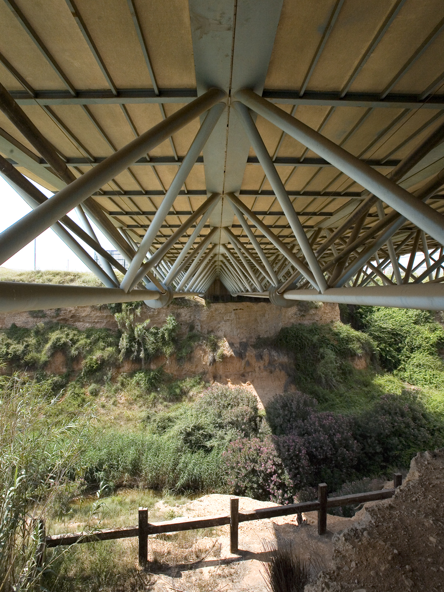 f6_509.jpg