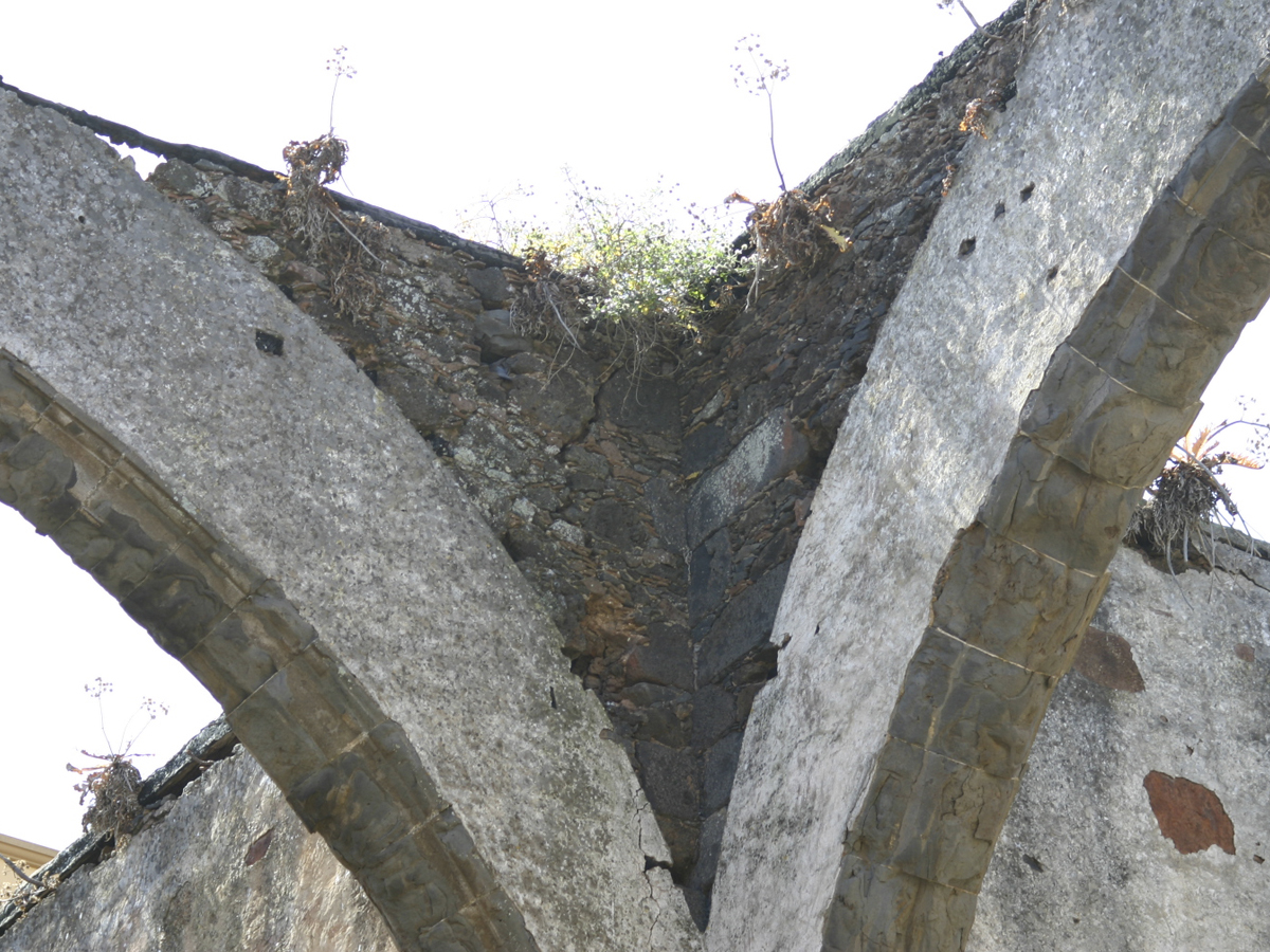 f14_2424.jpg