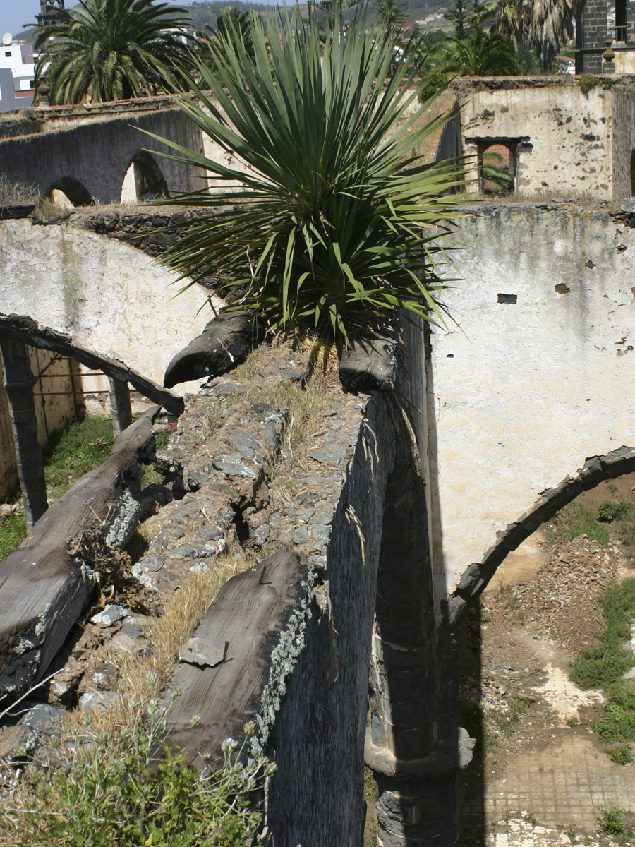 f22_2432.jpg