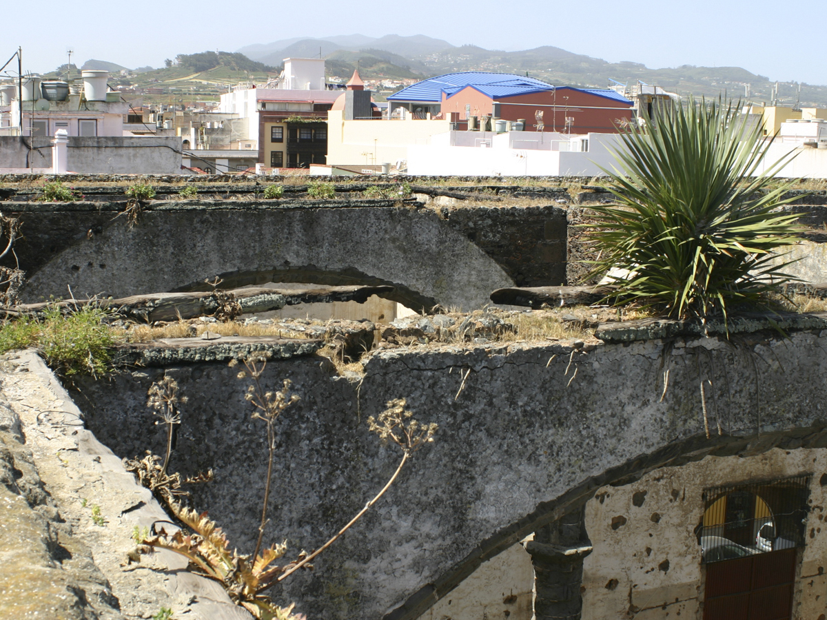 f9_2419.jpg