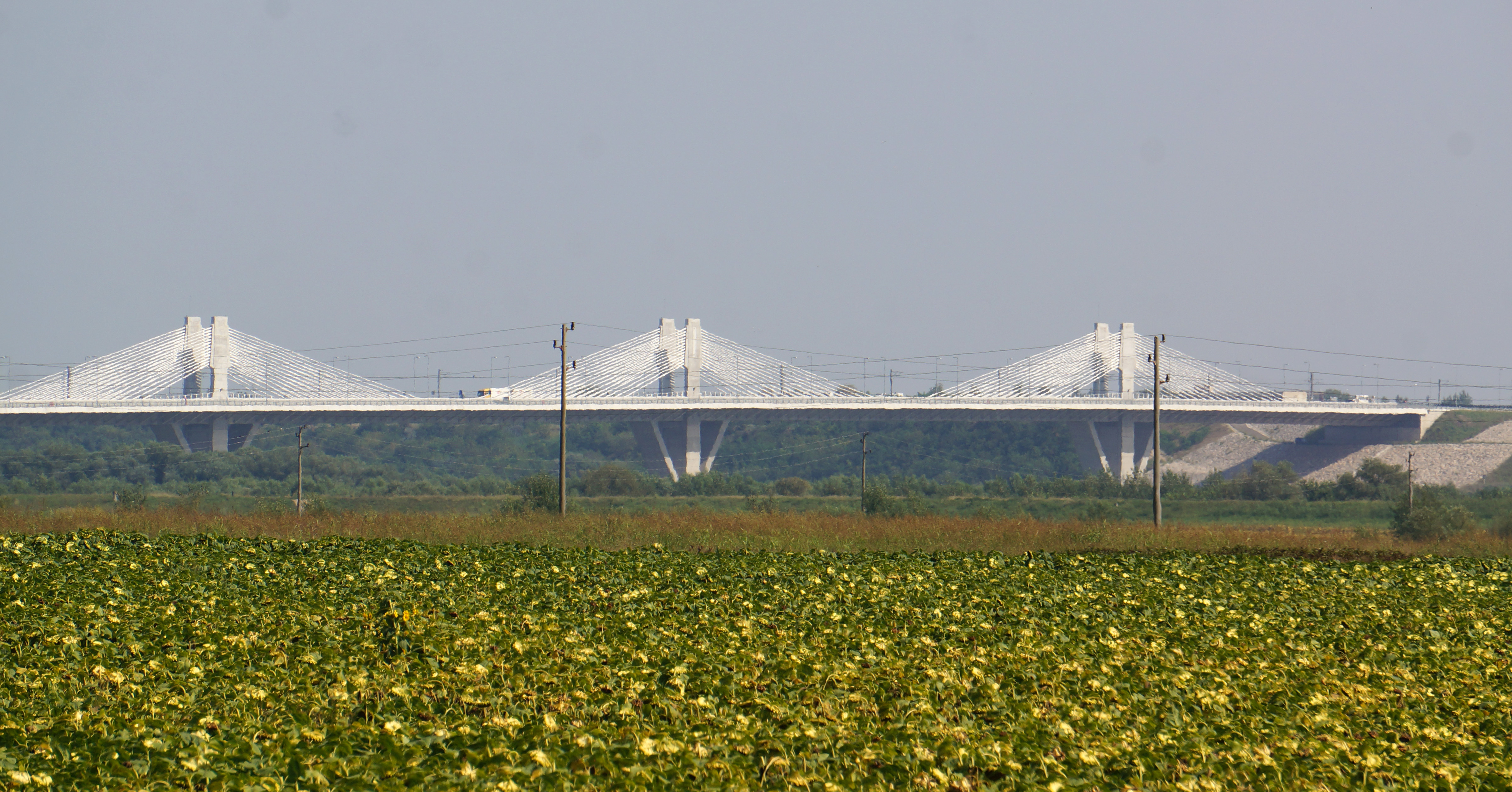 ggaritan_7501.jpg