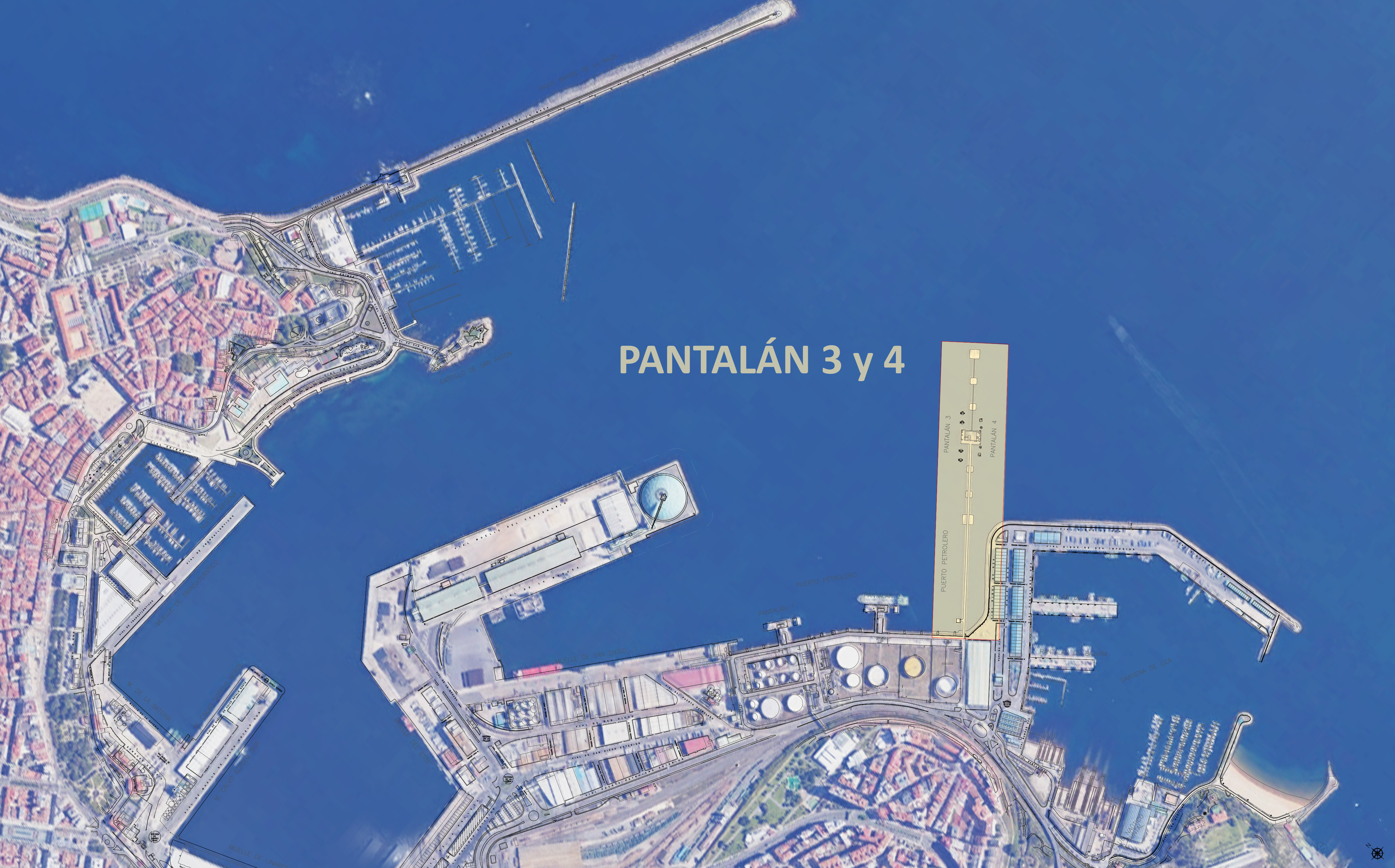 planta_11018.jpg